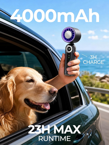 Handheld Fan with Cooling Plate