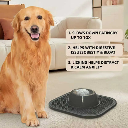 Slow Feeder Dog Bowls for Liquid Treat